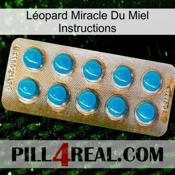 Léopard Miracle Du Miel Instructions new09.jpg